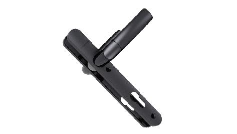  PM-21